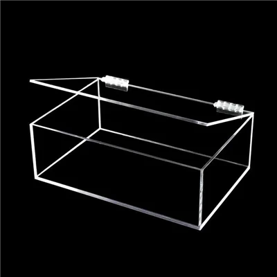 Clear Acrylic Box with Hinged Lid